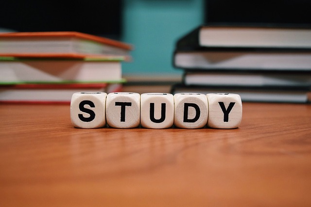 study z kostek